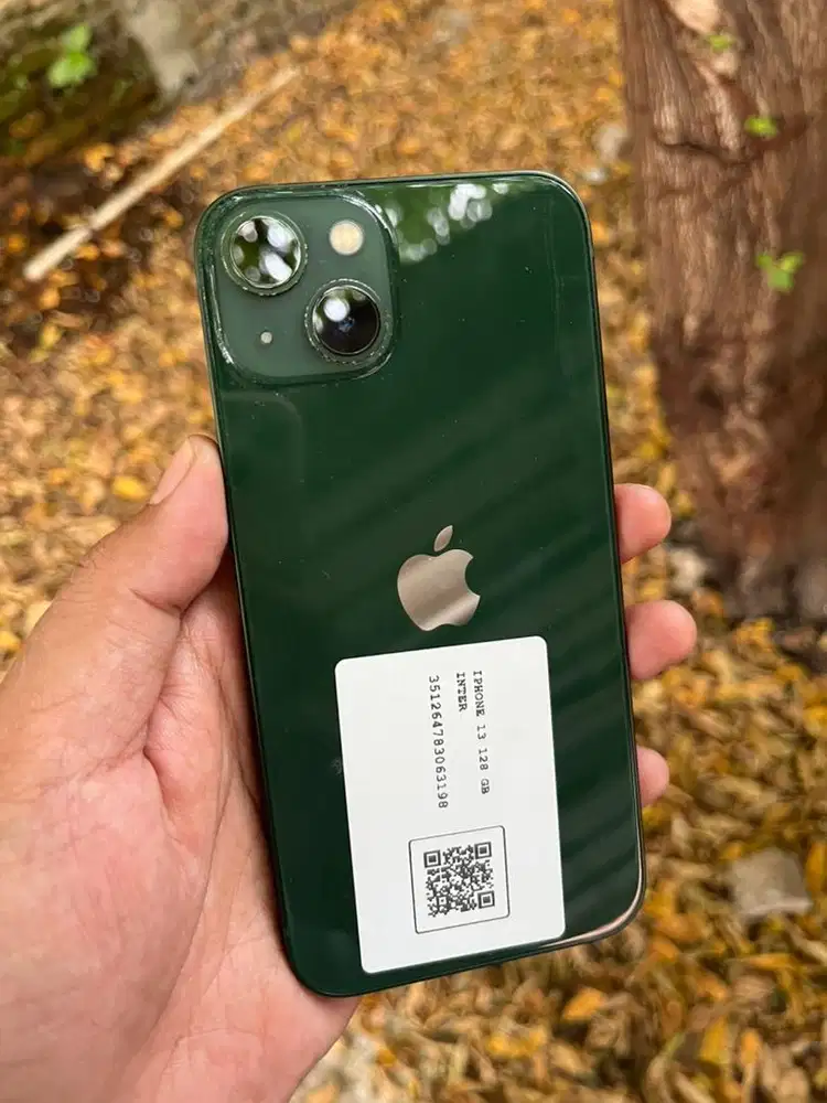 Iphone 13 128gb Inter Green