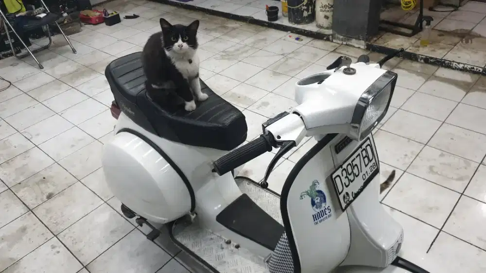 VESPA PS TV 1980 tgn ke 1