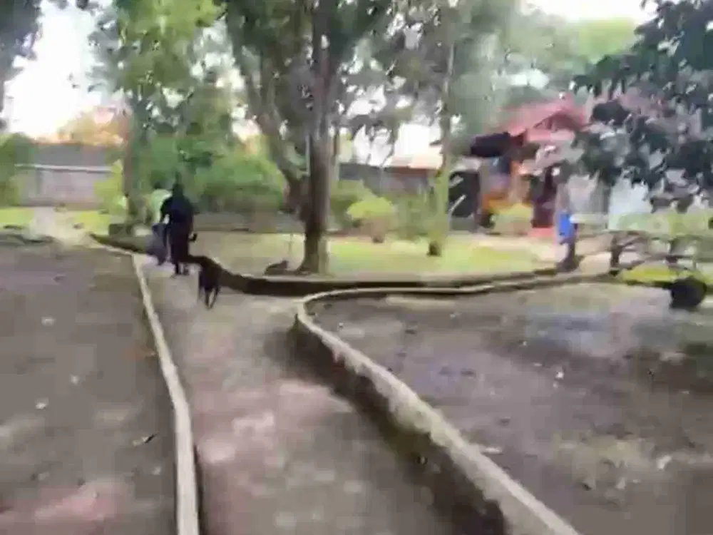 tanah batursari dekat pande putri Sanur bali