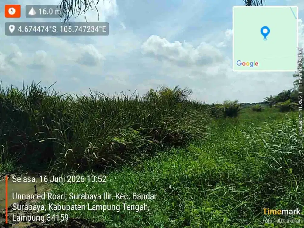 Tanah Hamparan 77 Hektar