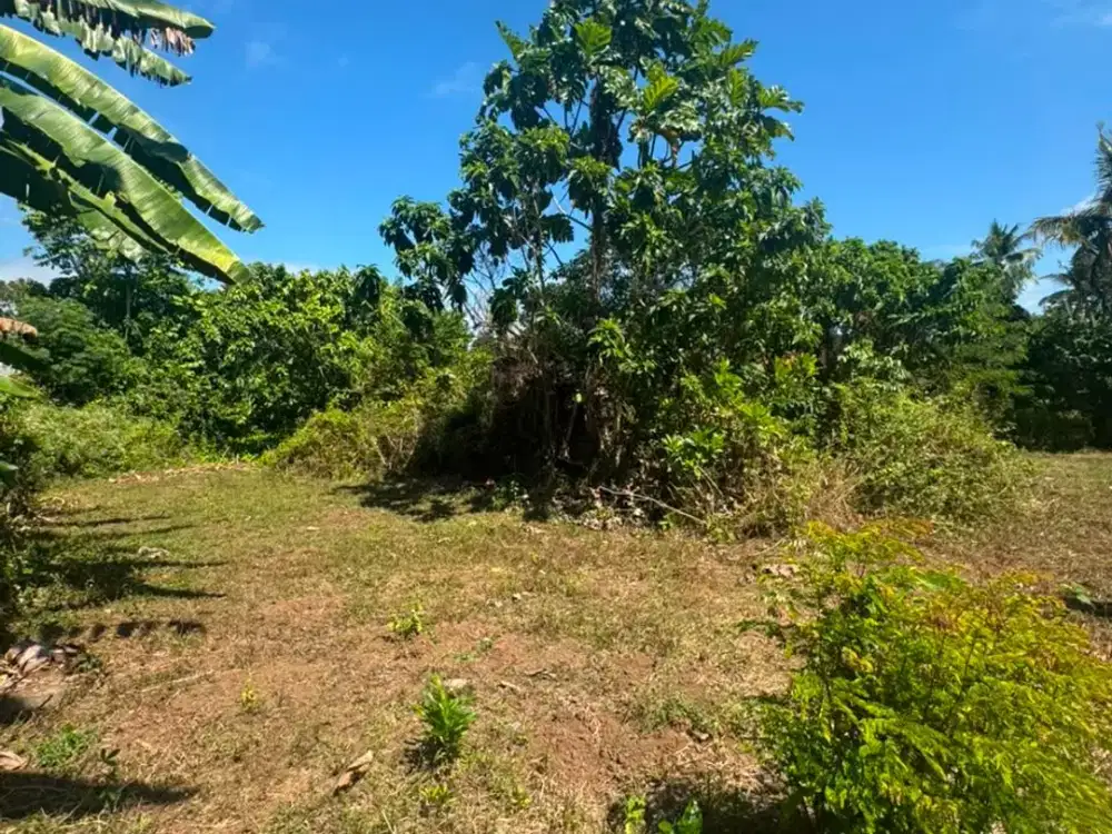 DISEWAKAN: Tanah Komersial Pinggir Jalan Utama Denpasar–Gilimanuk (LT 1.700m²)