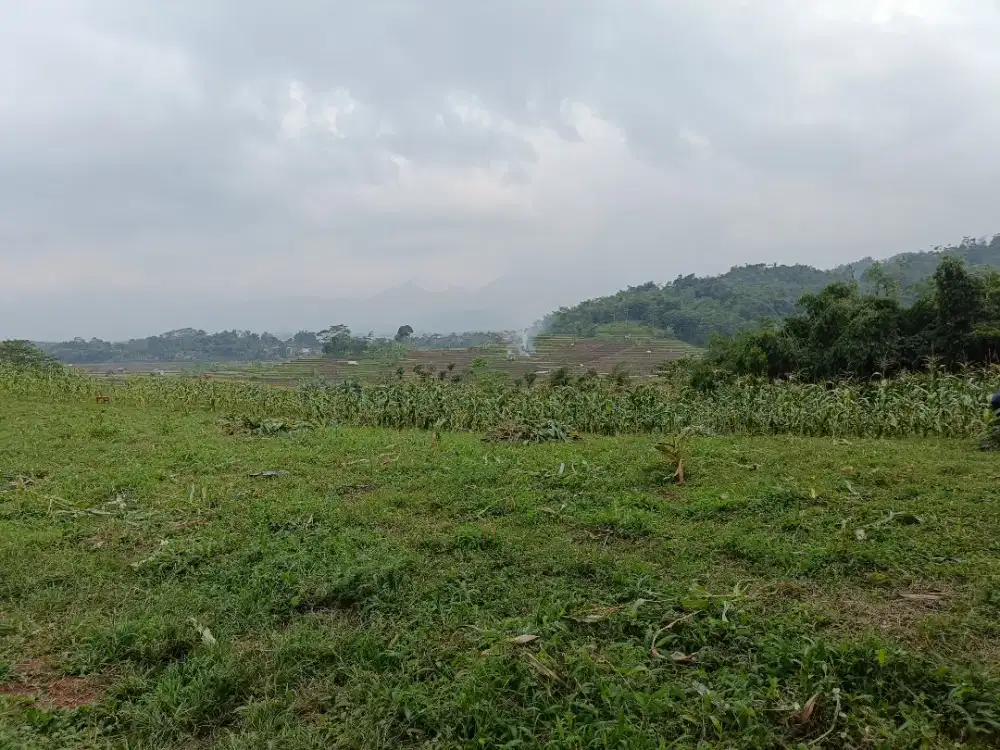 Dijual cepat tanah di Patrol Arjasari, sangat negotiable