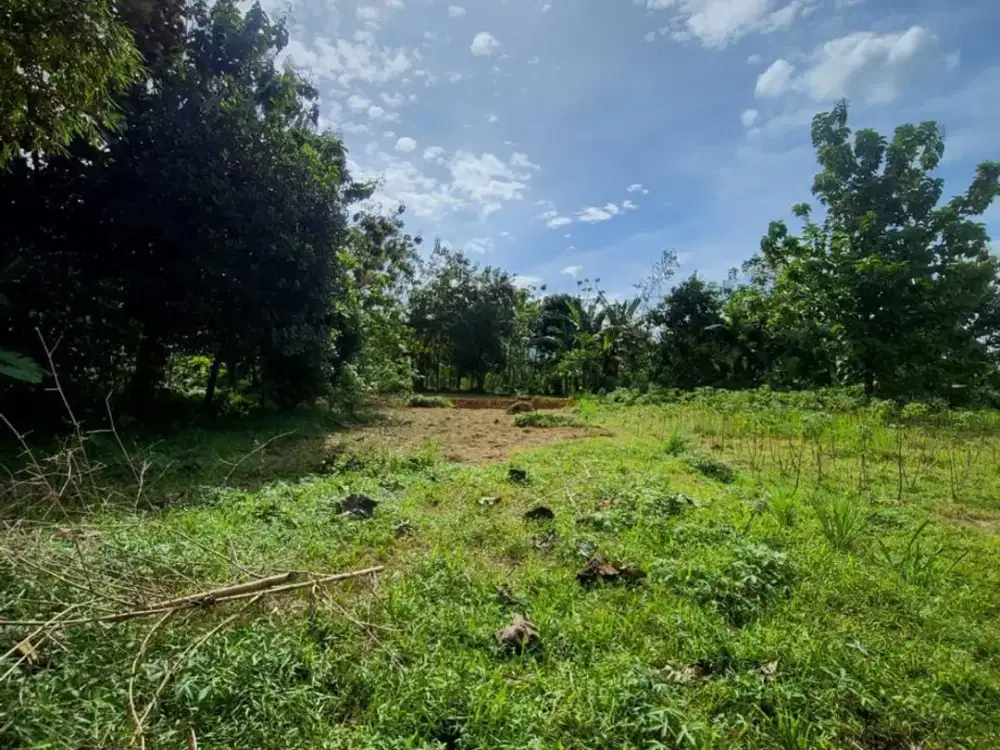 Tanah Dijual Harga NJOP Di Rancamaya Kota Bogor Cocok Untuk Investasi Lokasi Strategis