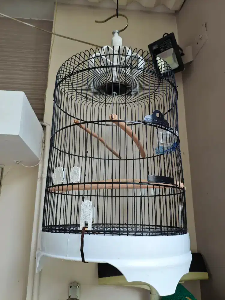 Sangkar Best besi lovebird,murai,parkit diameter 42 cm