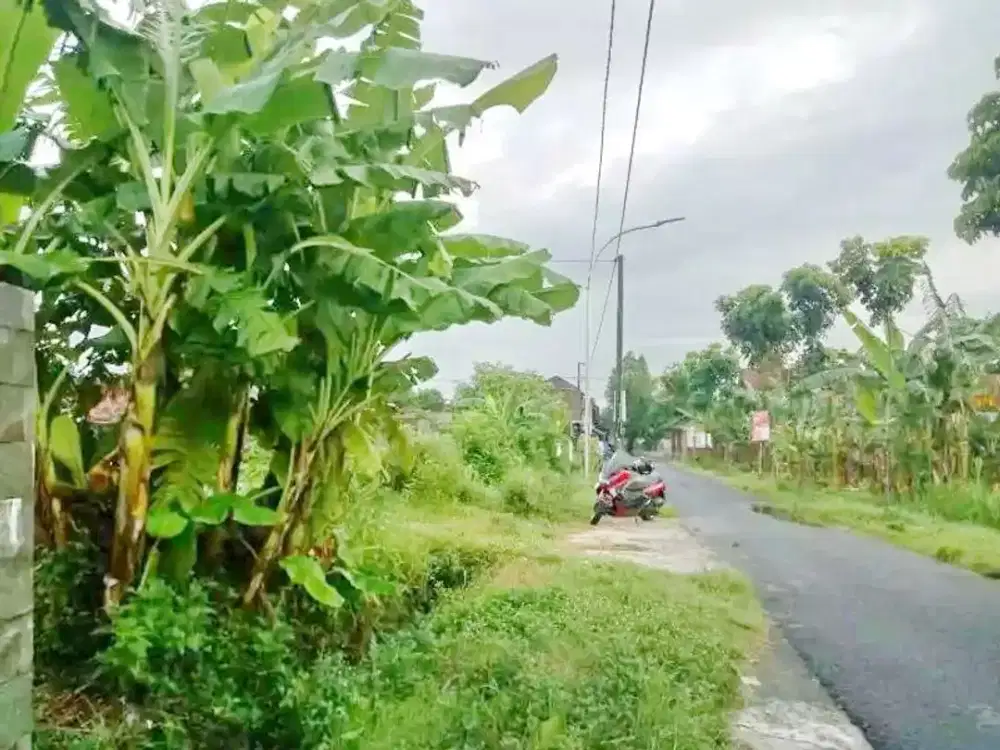 LT 568 m2 Tepi Jl Pleret Bantul Tanah SHM di Potorono, Banguntapan, Bantul