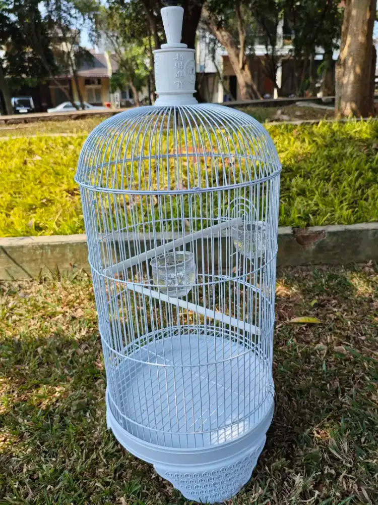 Sangkar lovebird , parkit besar panda dragon cc putih