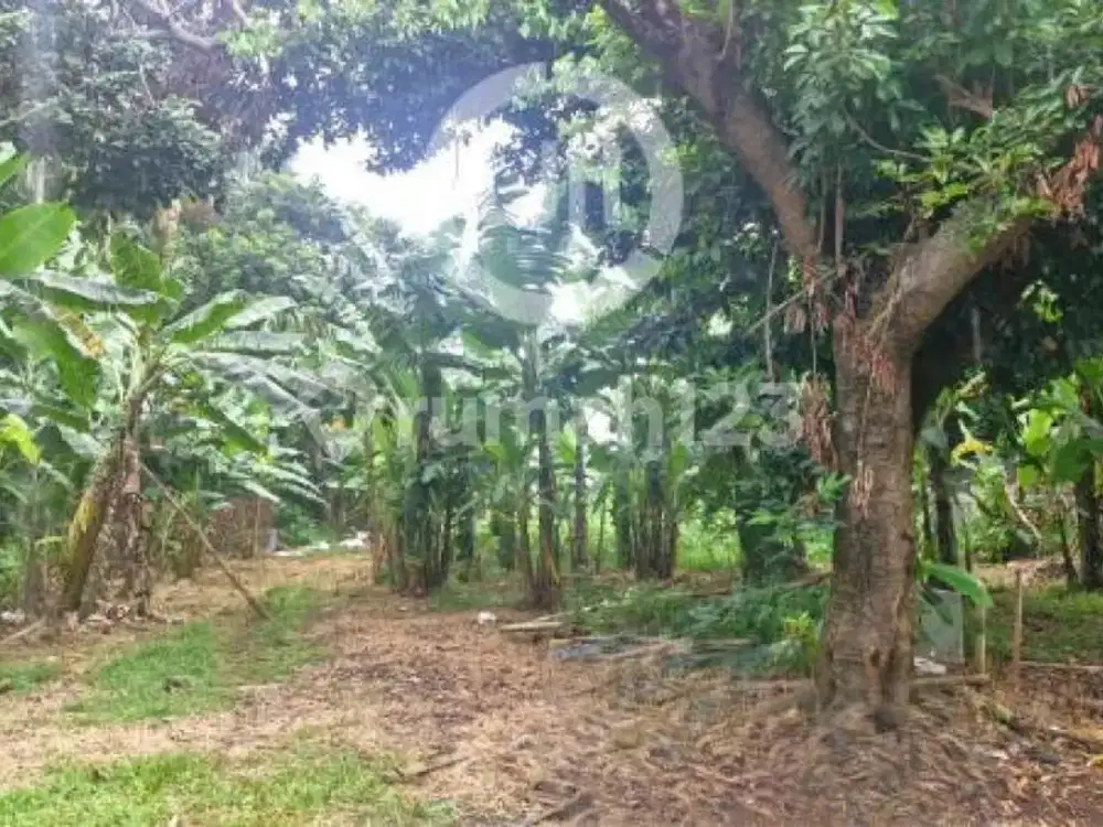 Tanah Siap Pakai Lokasi Strategis di Cibubur, Bekasi.