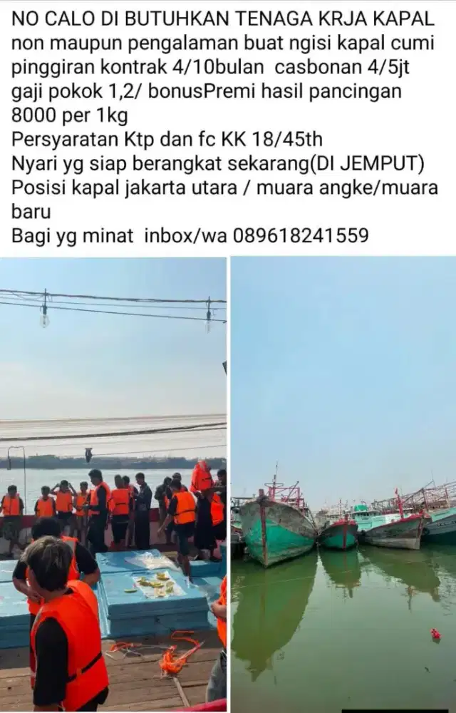 Lowongan khusus laki laki persyaratan KTP fotocopy kk 19/45tahun