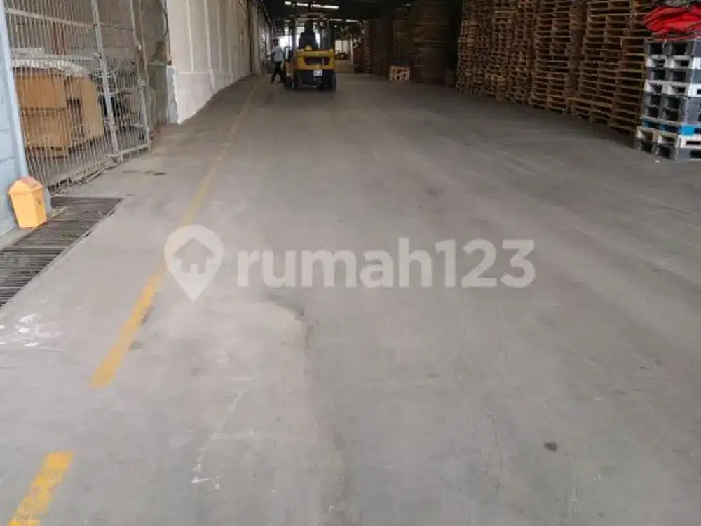 Gudang Murah,aman,ngaman,bebas Banjir Gudang di Sentul 17.0 m² SHM
