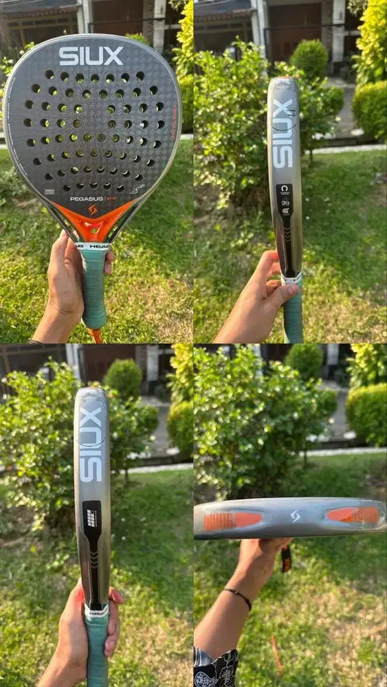 SIUX Pegasus Pro 2026