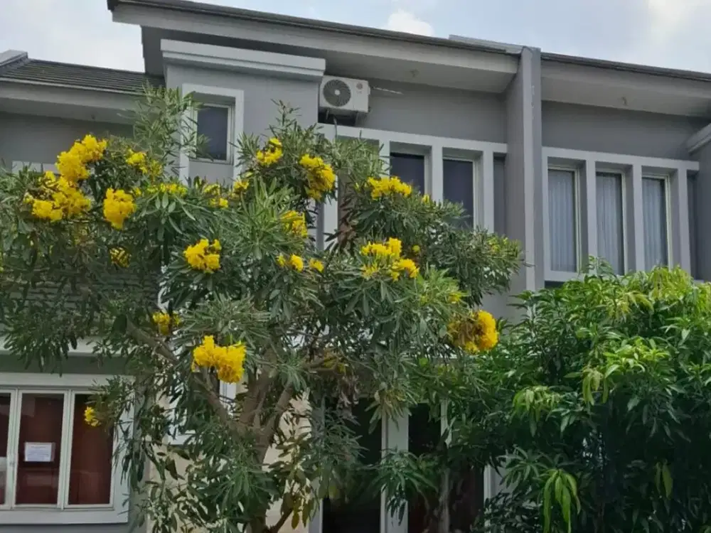Disewakan Rumah di Cluster Cempaka Suvarna Sutera Furnished Lengkap
