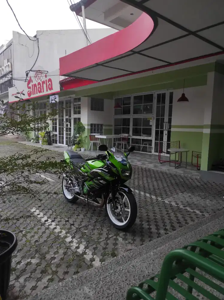 Ninja rr new 2015