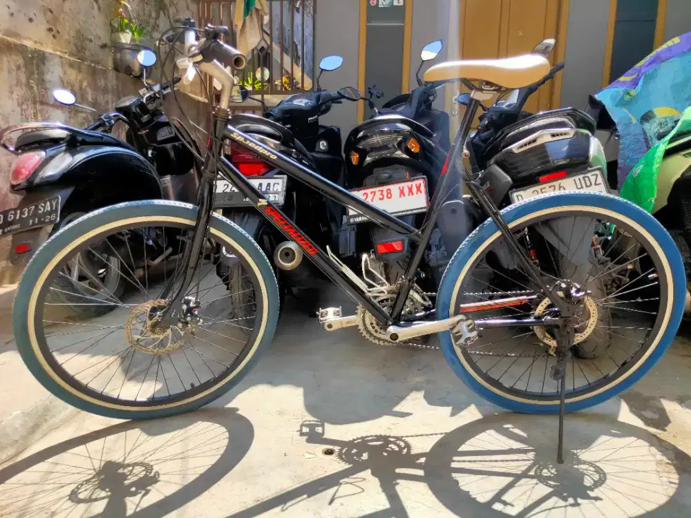Commuter Bike/City Bike Fdr Lady Wildcat Ss Npr Vintage