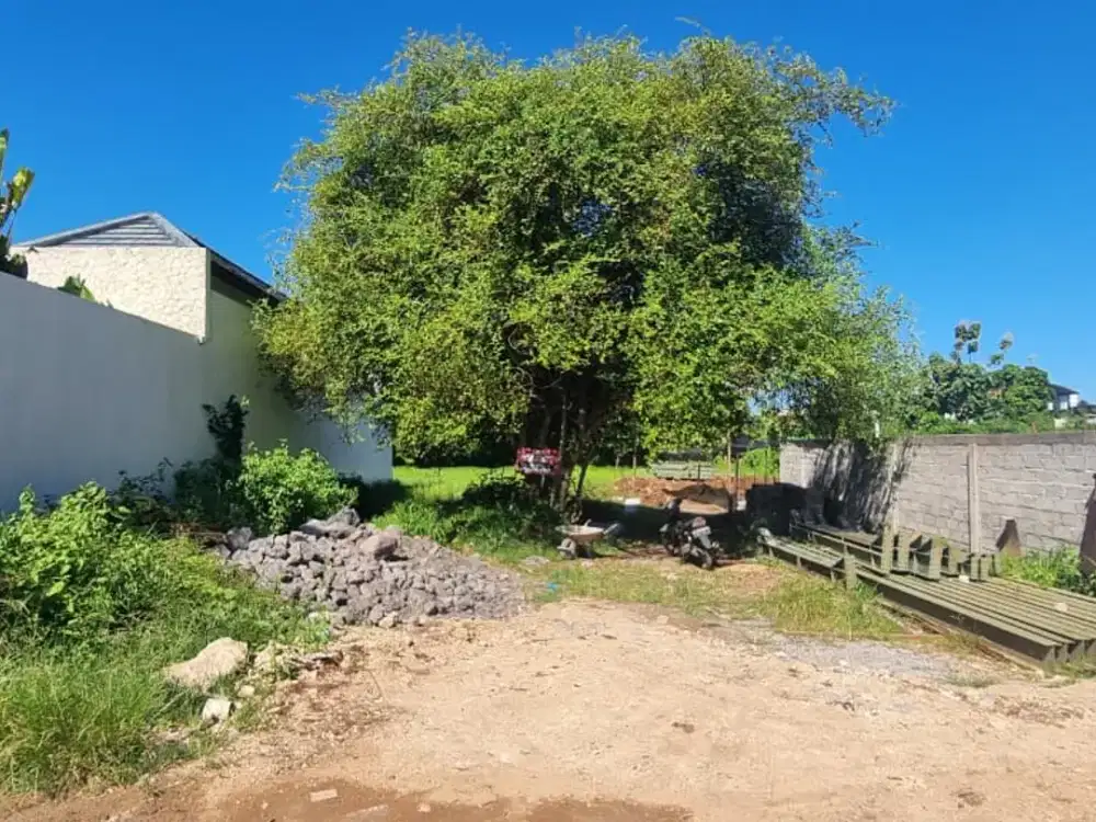 Dijual Tanah SHM 3 Are di Bukit Kutuh, Zona Kuning, Dekat Villa, Cocok untuk Investasi