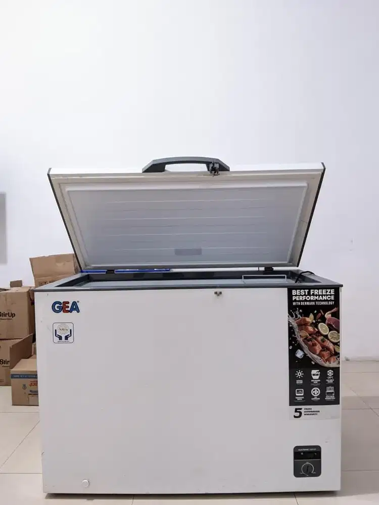 Second - Freezer GEA 310L