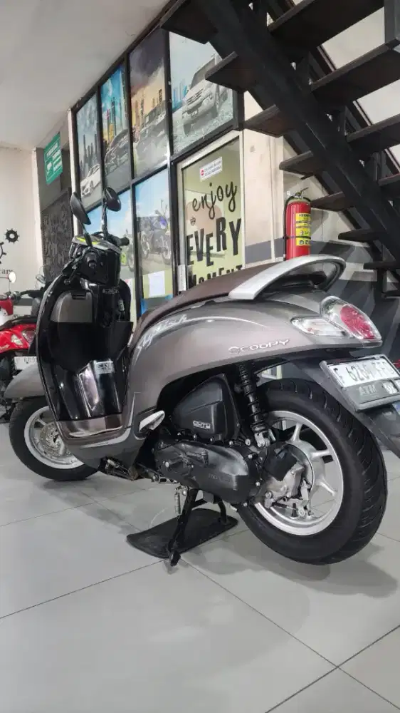 Scoopy staylis 2020