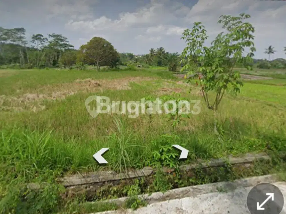 SAWAH LD 40 meter DI PAKEM AREA CAFE, VILA, DESA WISATA