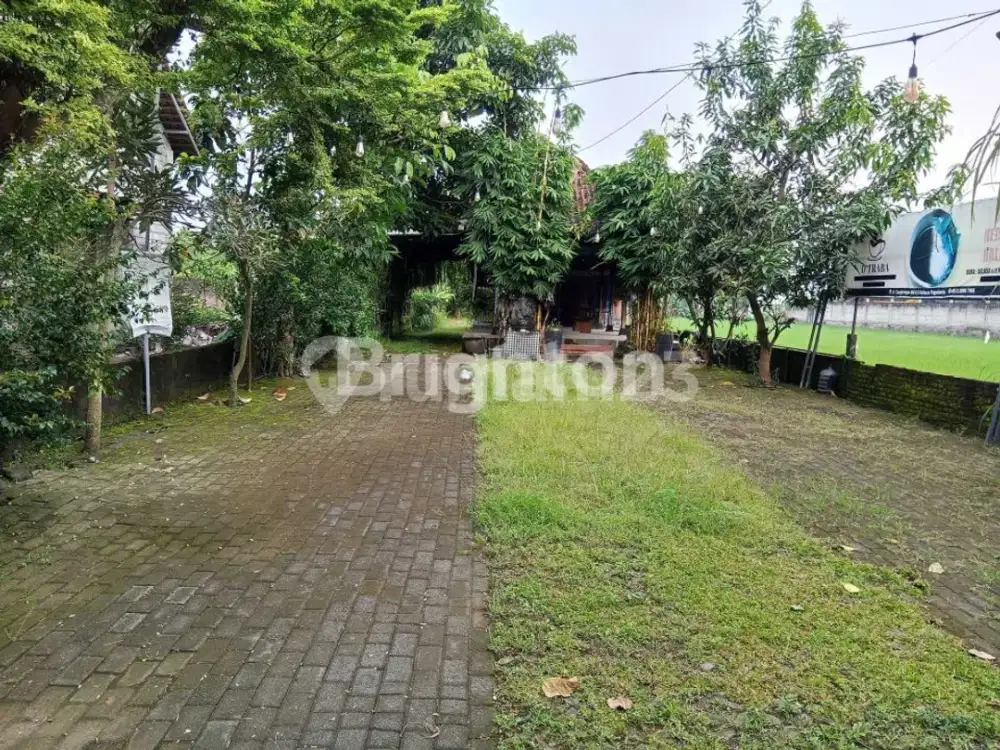TANAH DI AREA BISNIS KALASAN
