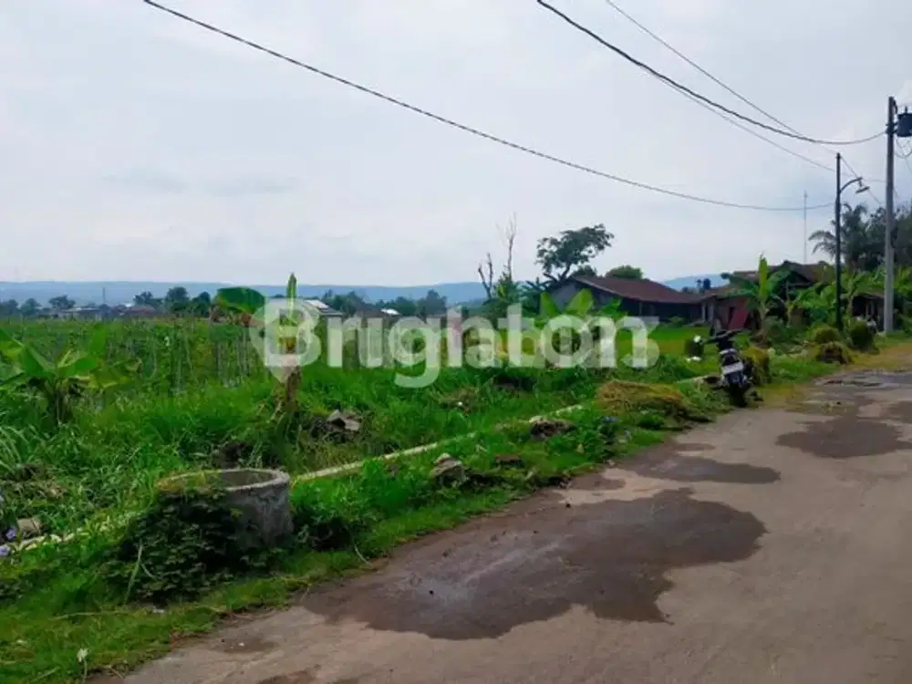 TANAH LUAS PINGGIR JALAN ASPAL