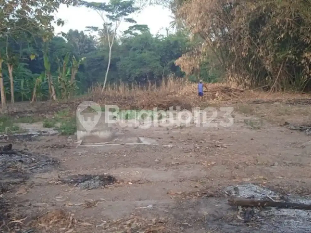 TANAH LUAS DI BANTUL