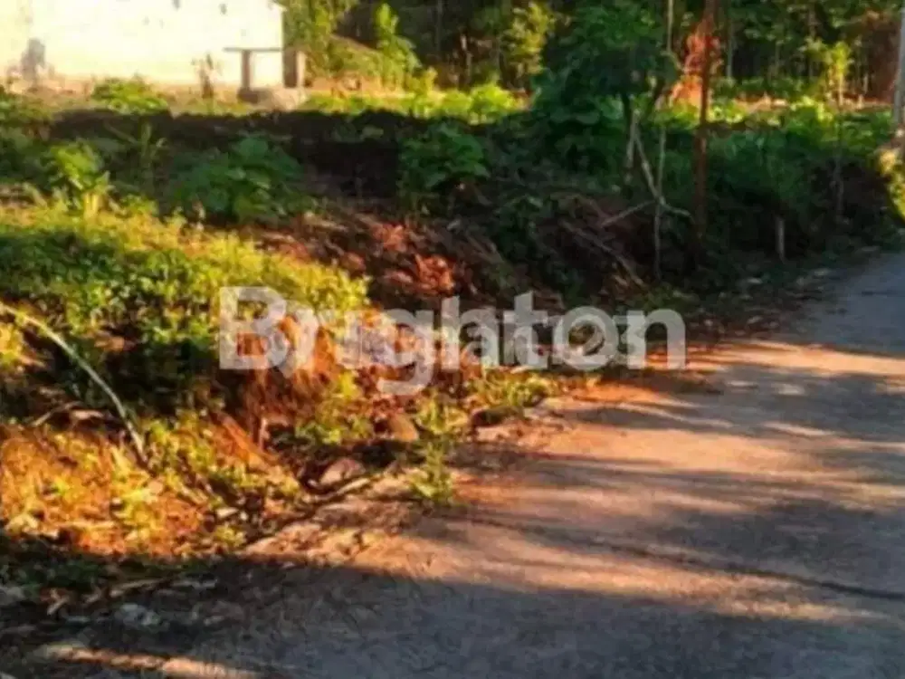 TANAH LUAS DI BELACATUR DEKAT PERUMAHAN MEWAH GRAND MUTIARA JOGJA BARAT