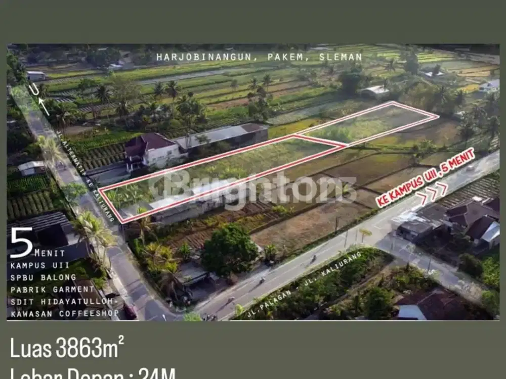 TANAH SHM SAWAH JALUR KUNING BISA KERING