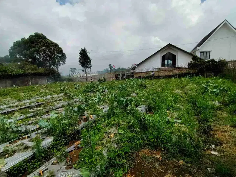 Tanah kavling 1500 m²,nagrak kulon dkt Lembang Zoo