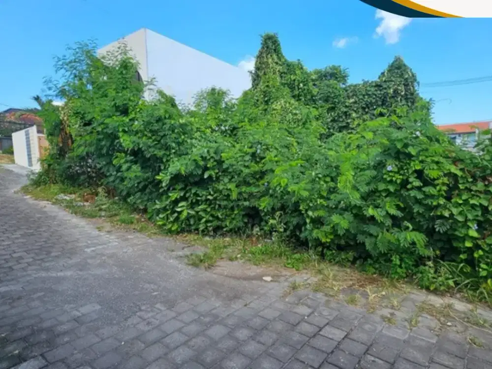 Tanah Plot Kecil Lokasi Berawe 2 Are Siap Bangun