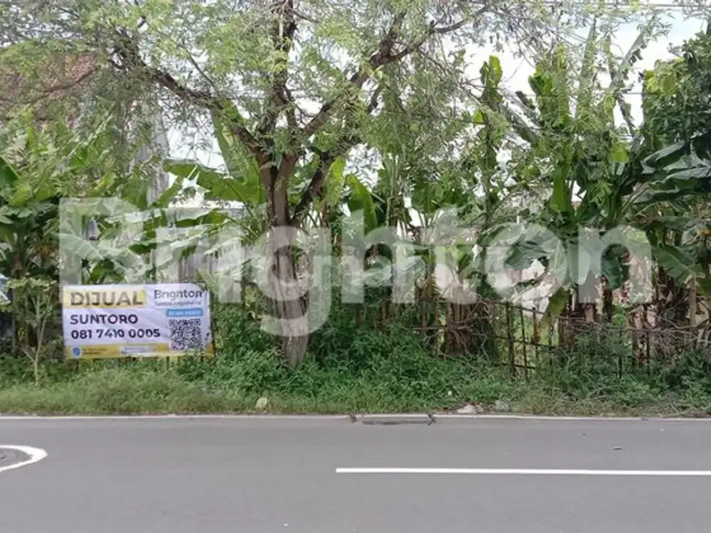 TANAH LUAS PINGGIR JALAN ASPAL DEKAT XT SQUARE JOGJA