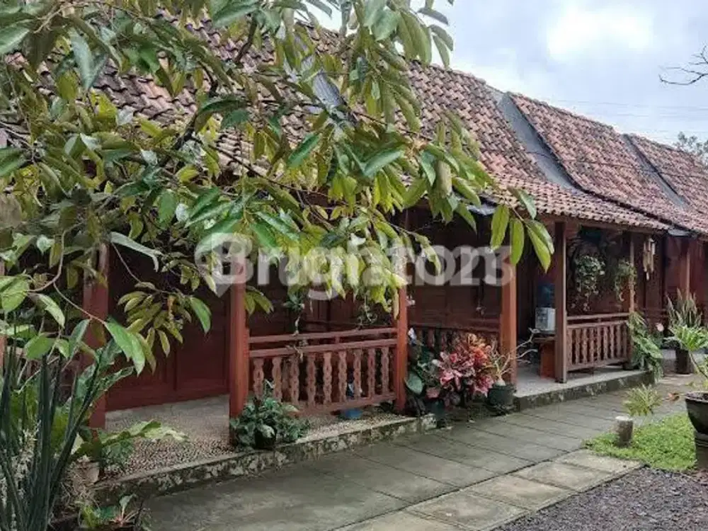 Tanah + Homestay Di Patuk Gunung Kidul