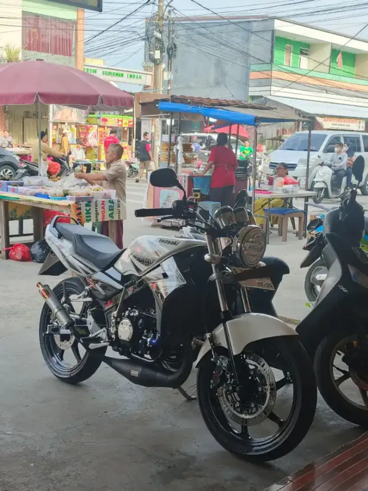 Kawasaki R Albino