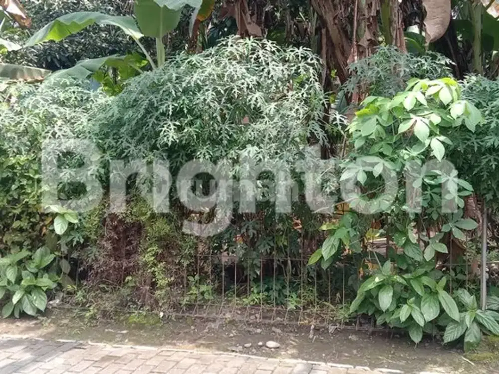 TANAH PEKARANGAN LOKASI KOMPLEK PERUMAHAN SETURAN