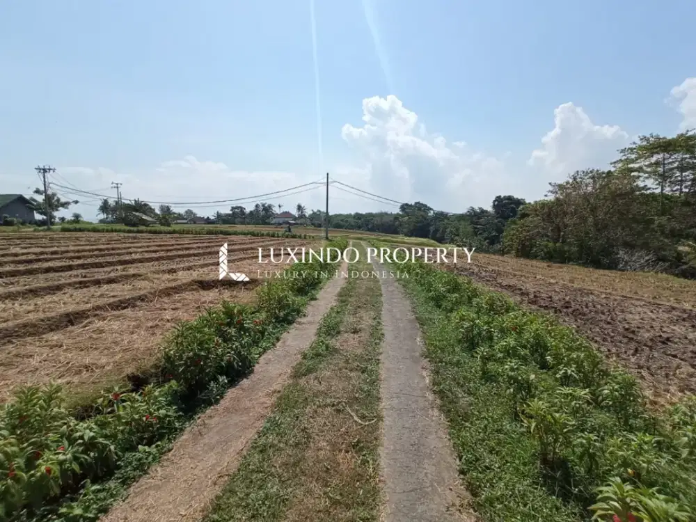 DIJUAL TANAH SELUAS 20 ARE DI TABANAN