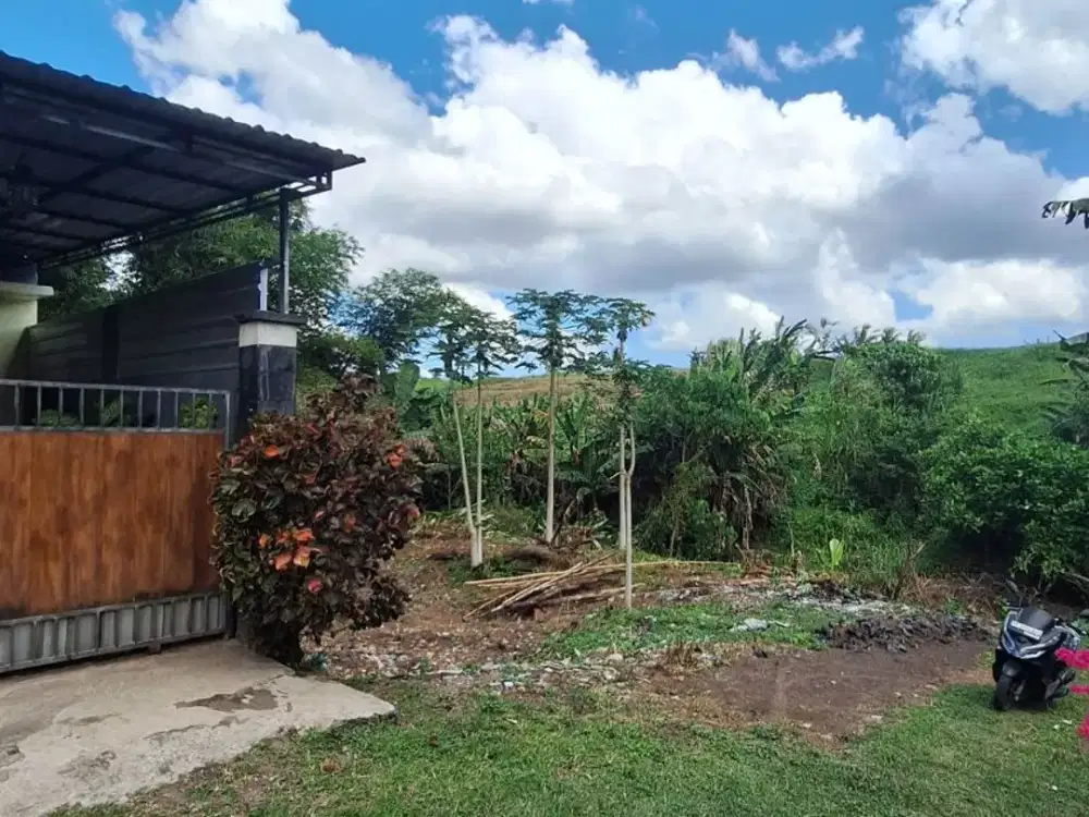 DIJUAL TANAH PERUMAHAN 165M2 JL. BATUKARU WANASARI TABANAN BALI