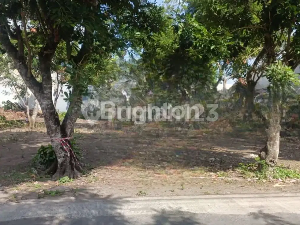TANAH PEKARANGAN DAERAH CONDONG CATUR
