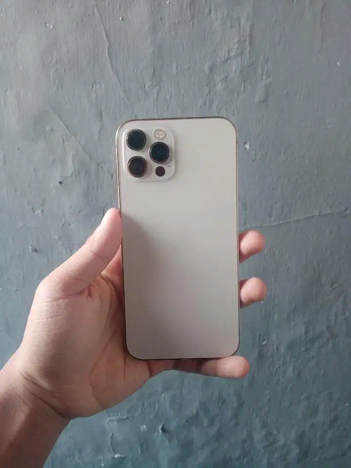 Iphone 12 Pro 256Gb