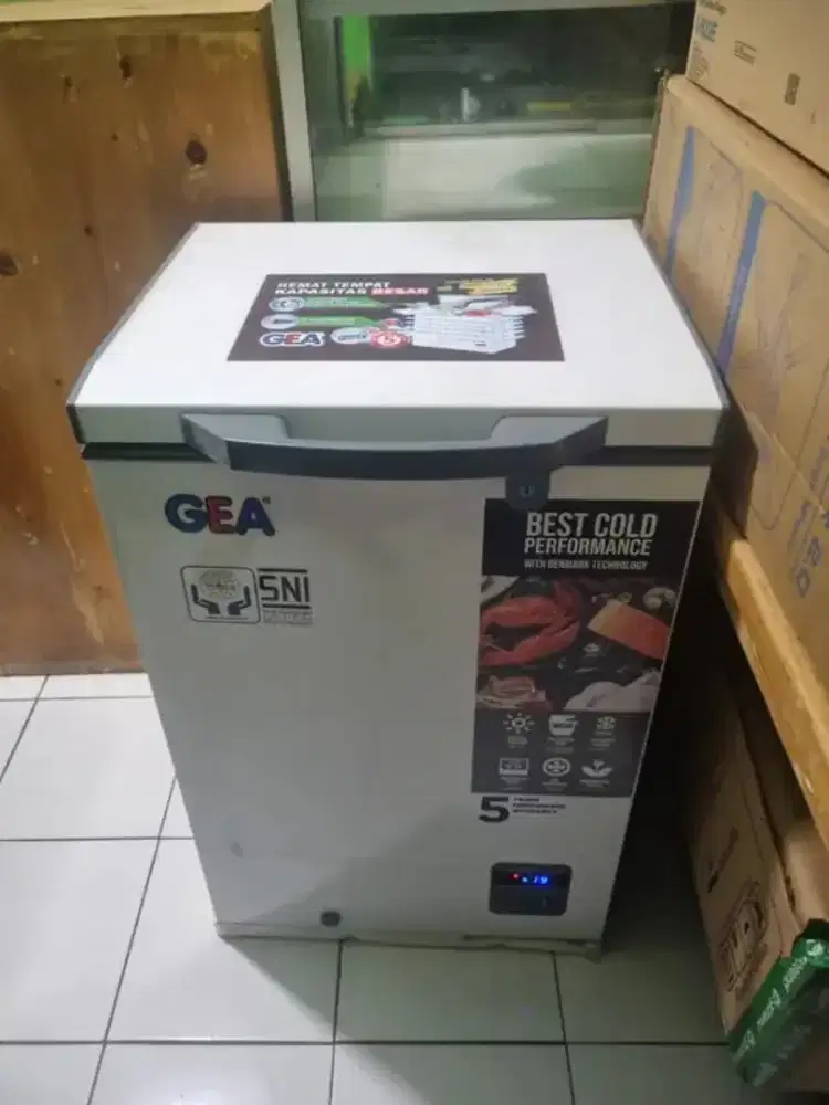 FREEZERBOX GEA 100LITER NOMINUS