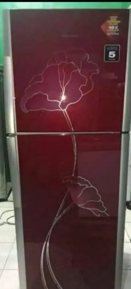 Kulkas 2 pintu polytton
