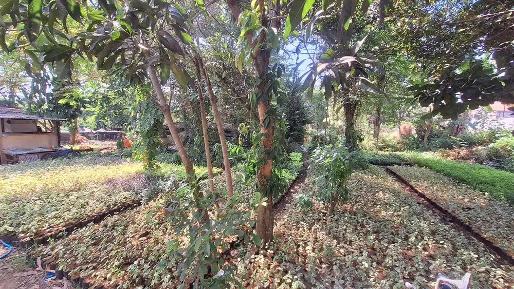 DIJUAL CEPAT TANAH DI DEPOK NEGO