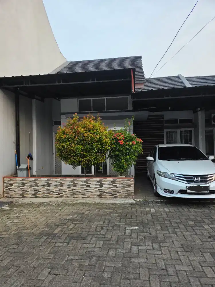 Rumah disewakan