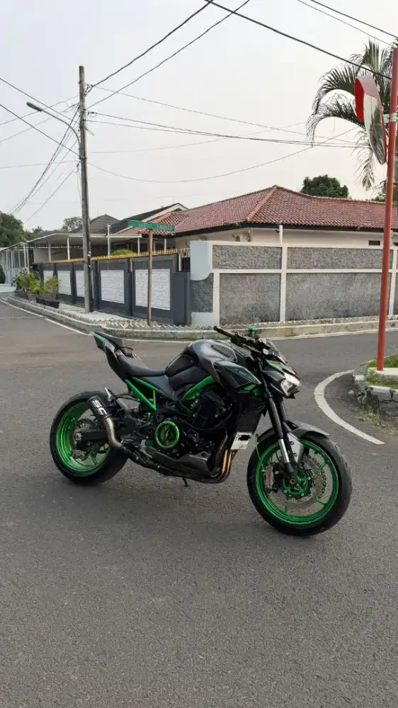 KAWASAKI Z900 2024 (hampir hedon)