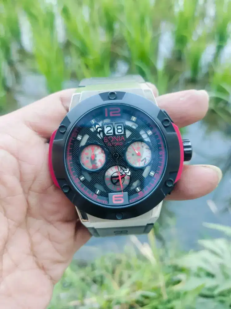 Jam bonia crono