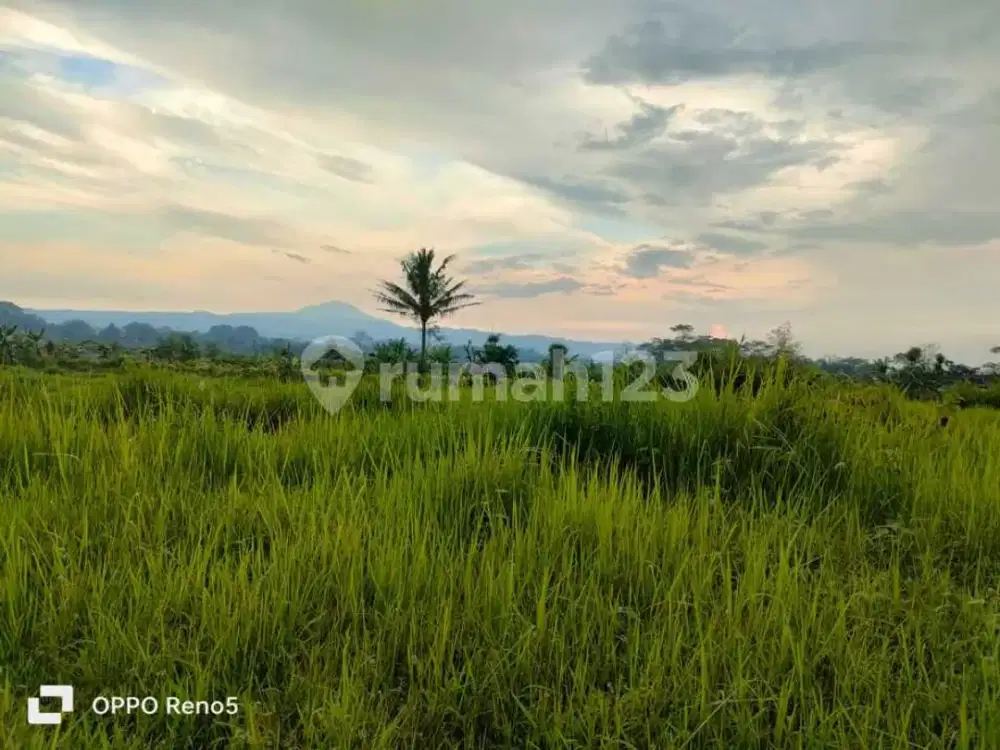 Tanah Produktif Luas, Siap Dikapling Ditemanggung