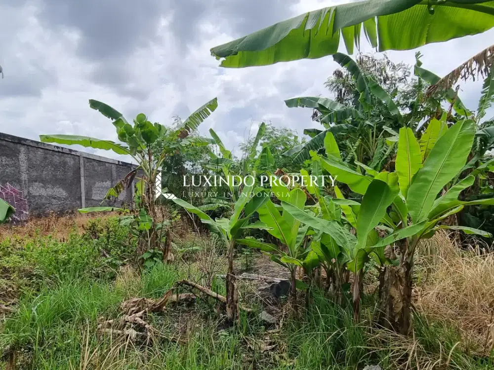 DIJUAL TANAH SELUAS 2,6 ARE DI SEMINYAK