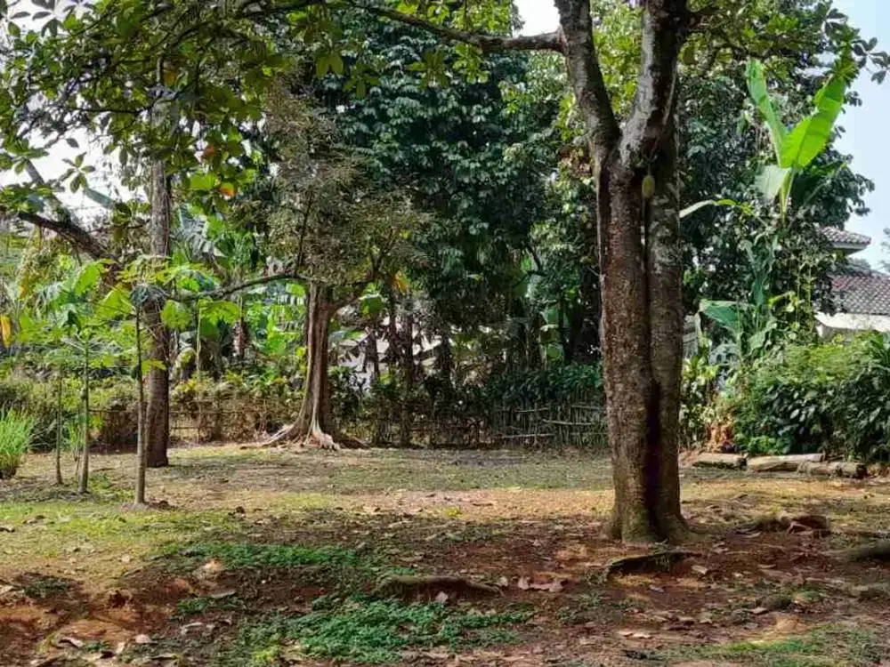 Tanah Kebun Murah di Bogor, Bonus Rumah