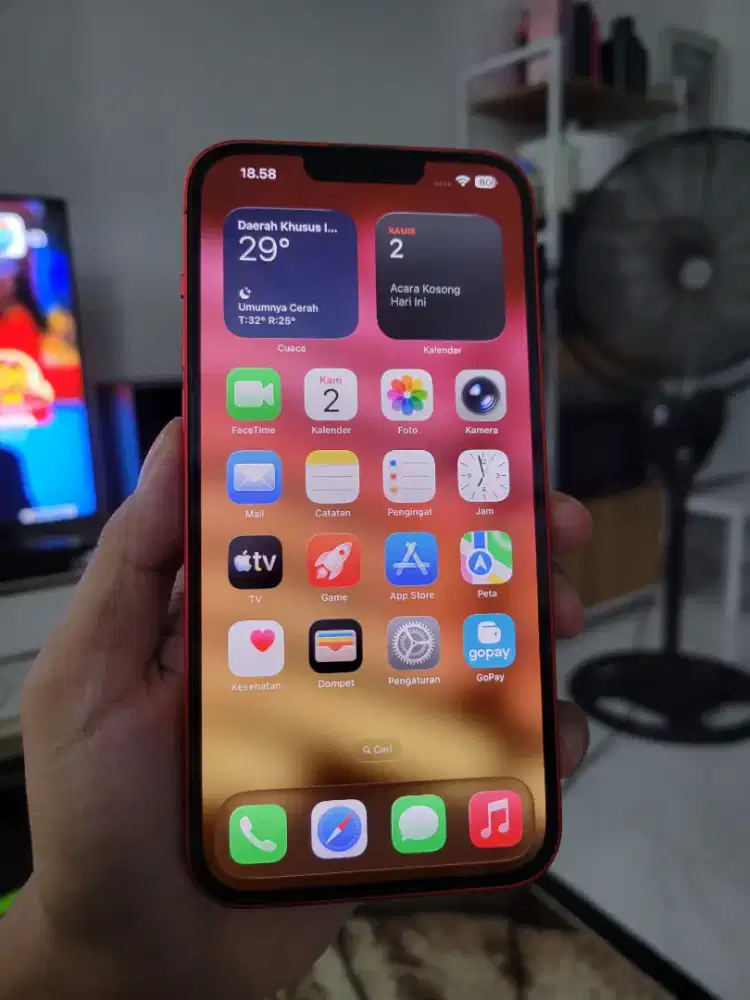 Iphone 14 Plus 256 GB