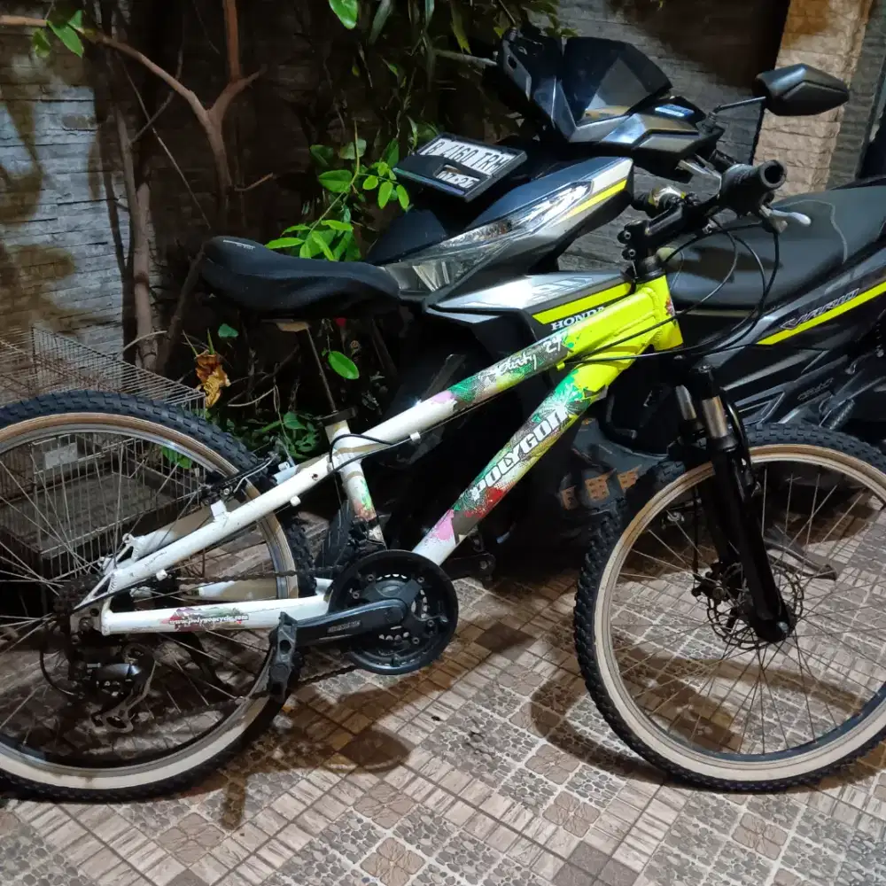 Sepeda gunung polygon dirty 24 (aloy)
