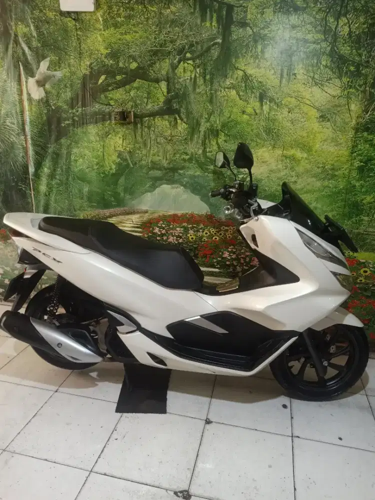Honda PCX th 2020 original istimewa gress