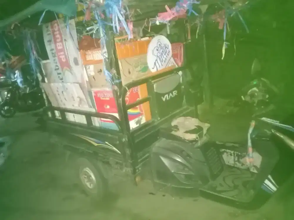 motor bak Viar 2016