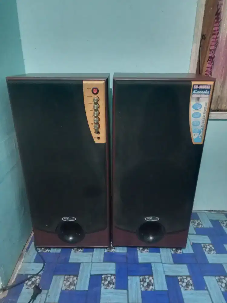 Speaker aktif roadmaster 10 inc